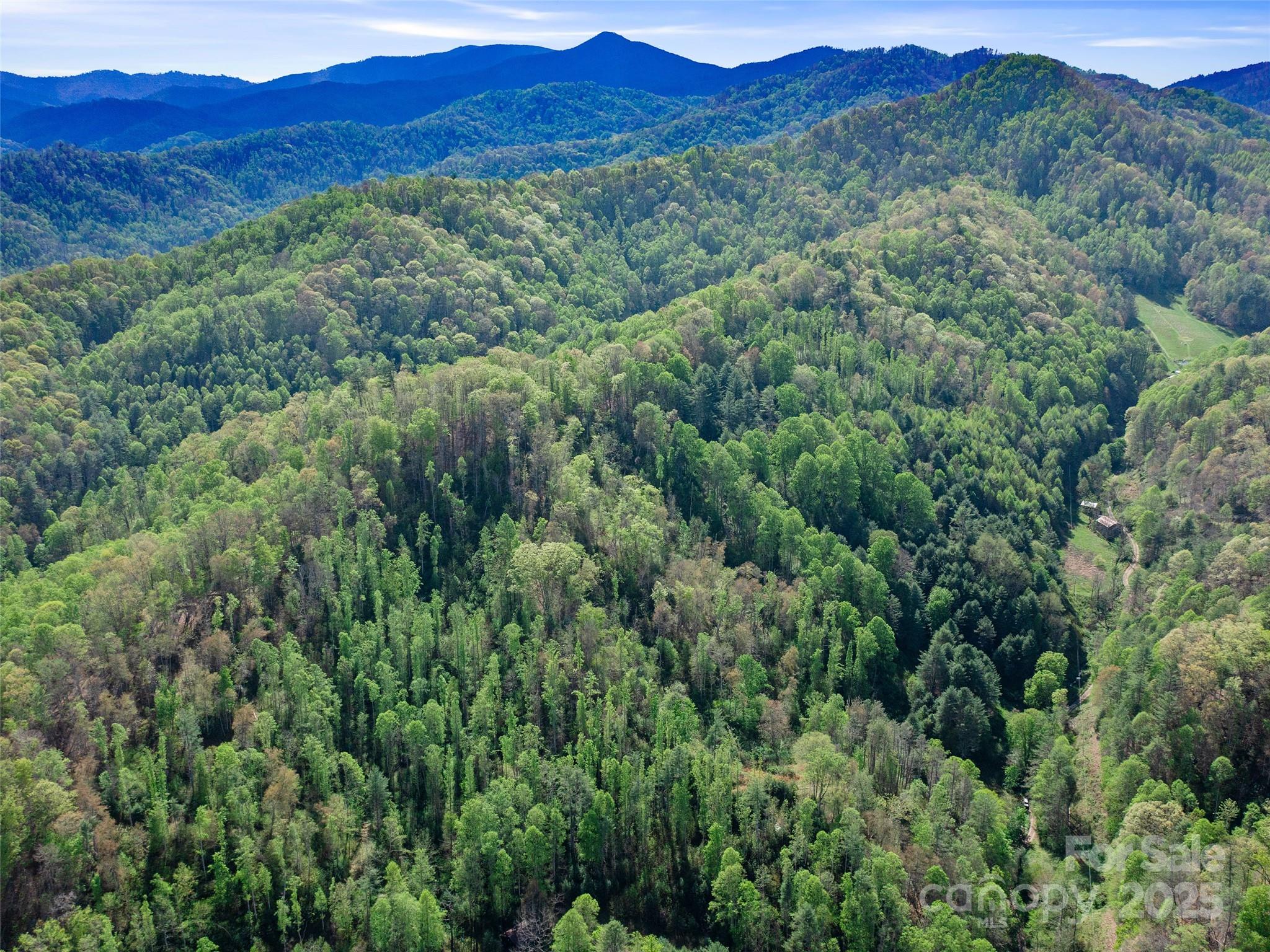 0 Fire Scald Road Green Mountain NC 28740