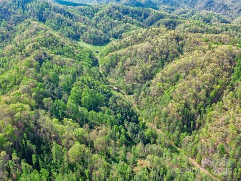 0 Fire Scald Road Green Mountain NC 28740