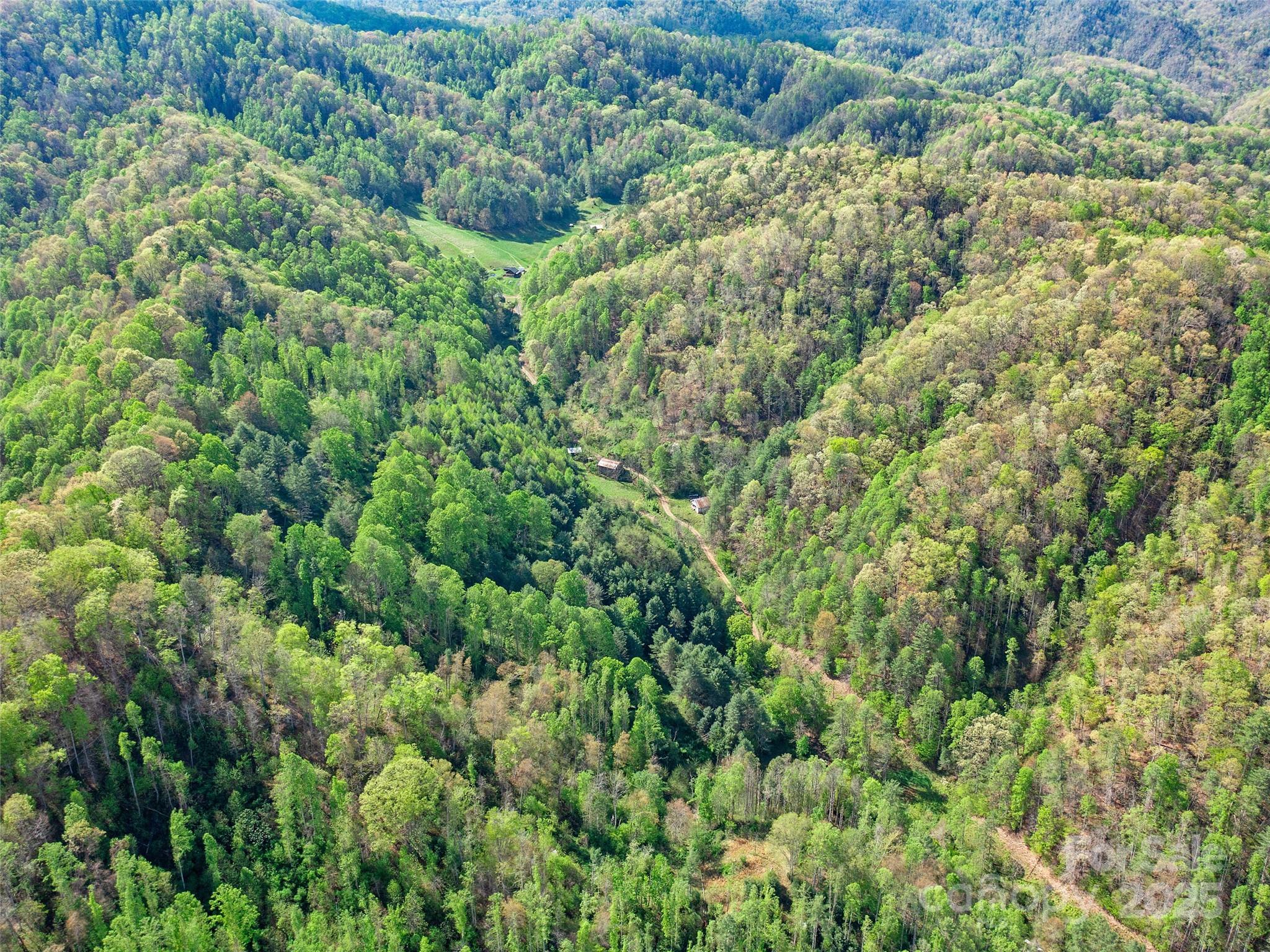 0 Fire Scald Road Green Mountain NC 28740