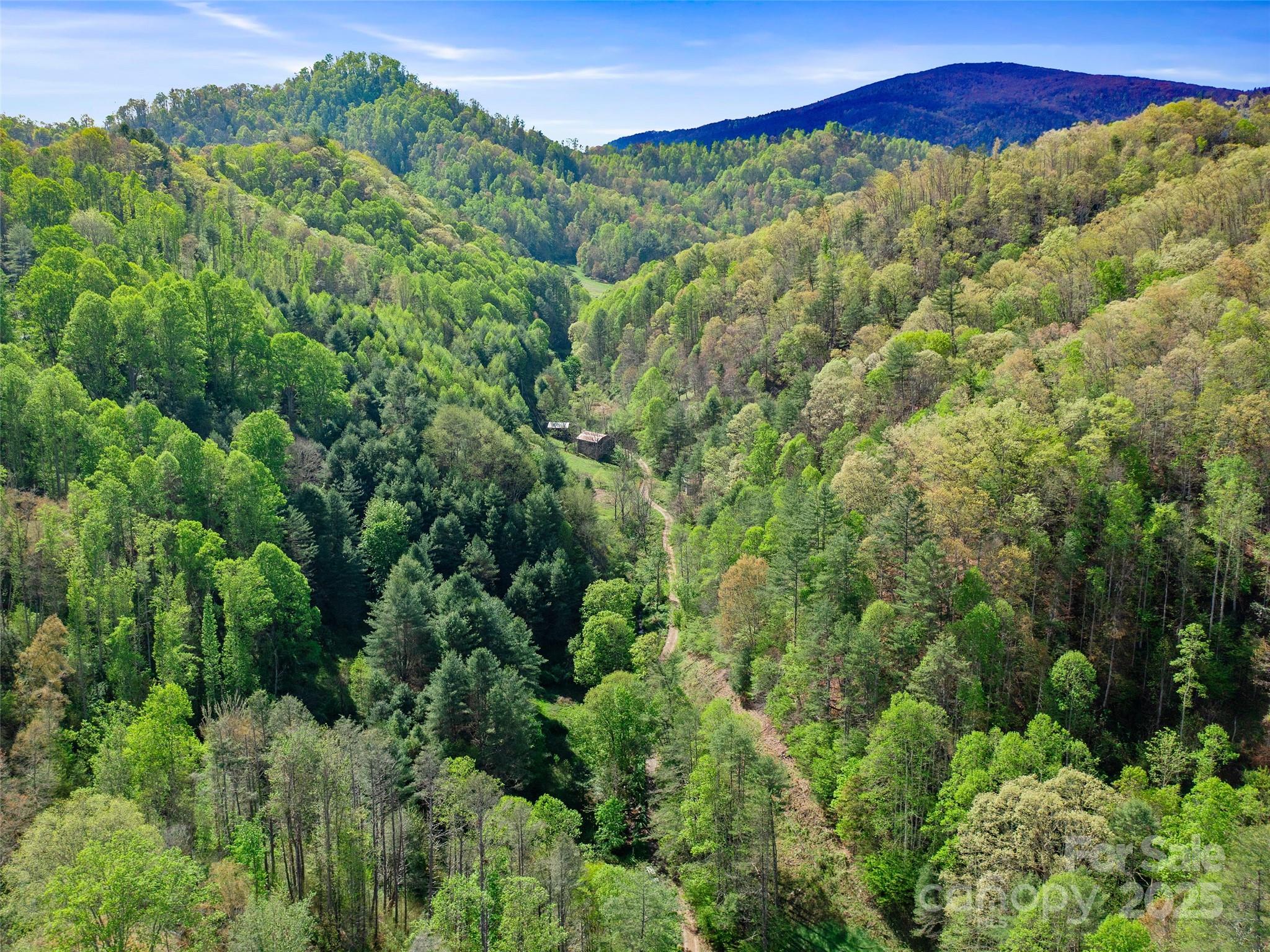0 Fire Scald Road Green Mountain NC 28740