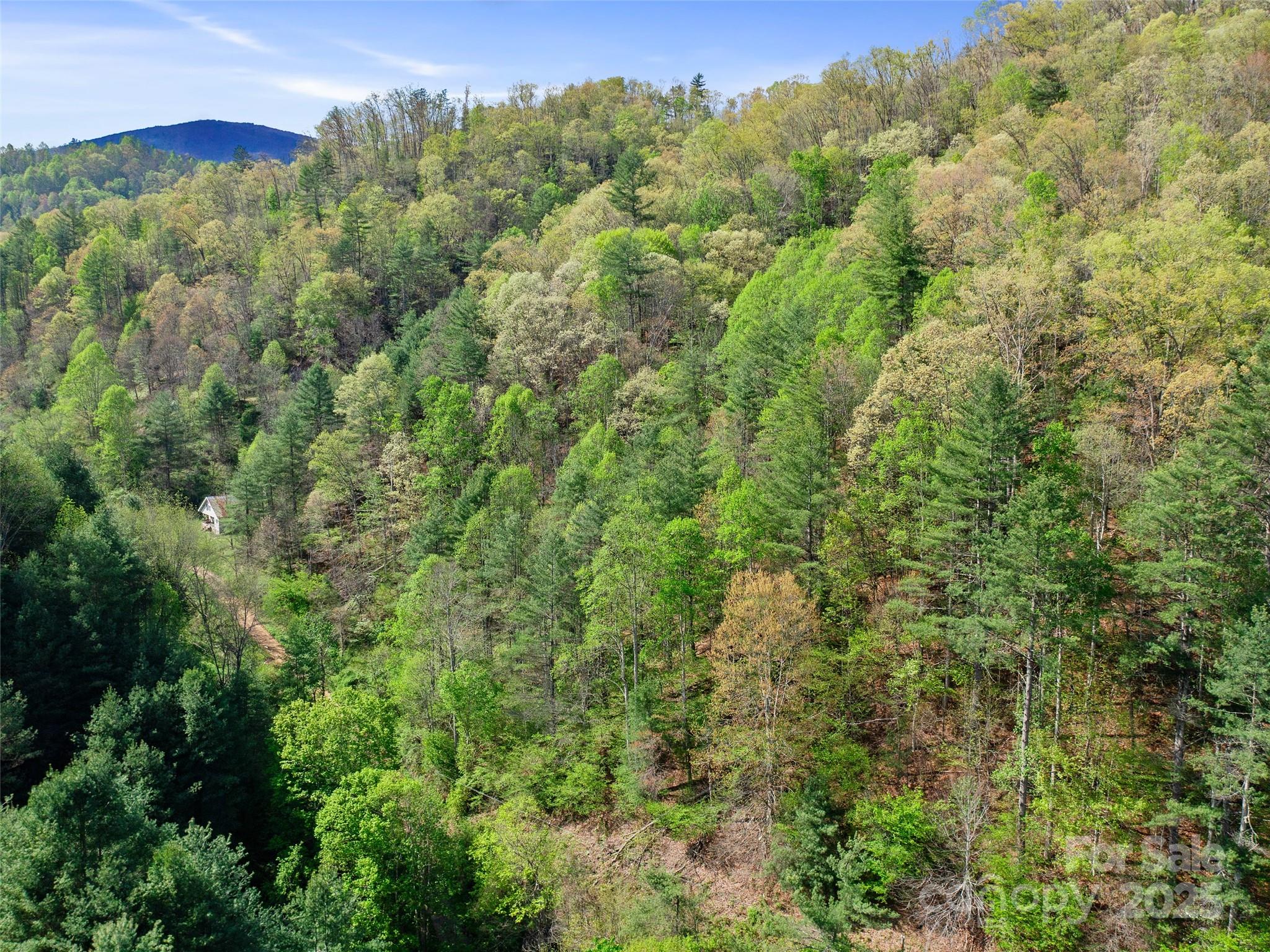 0 Fire Scald Road Green Mountain NC 28740