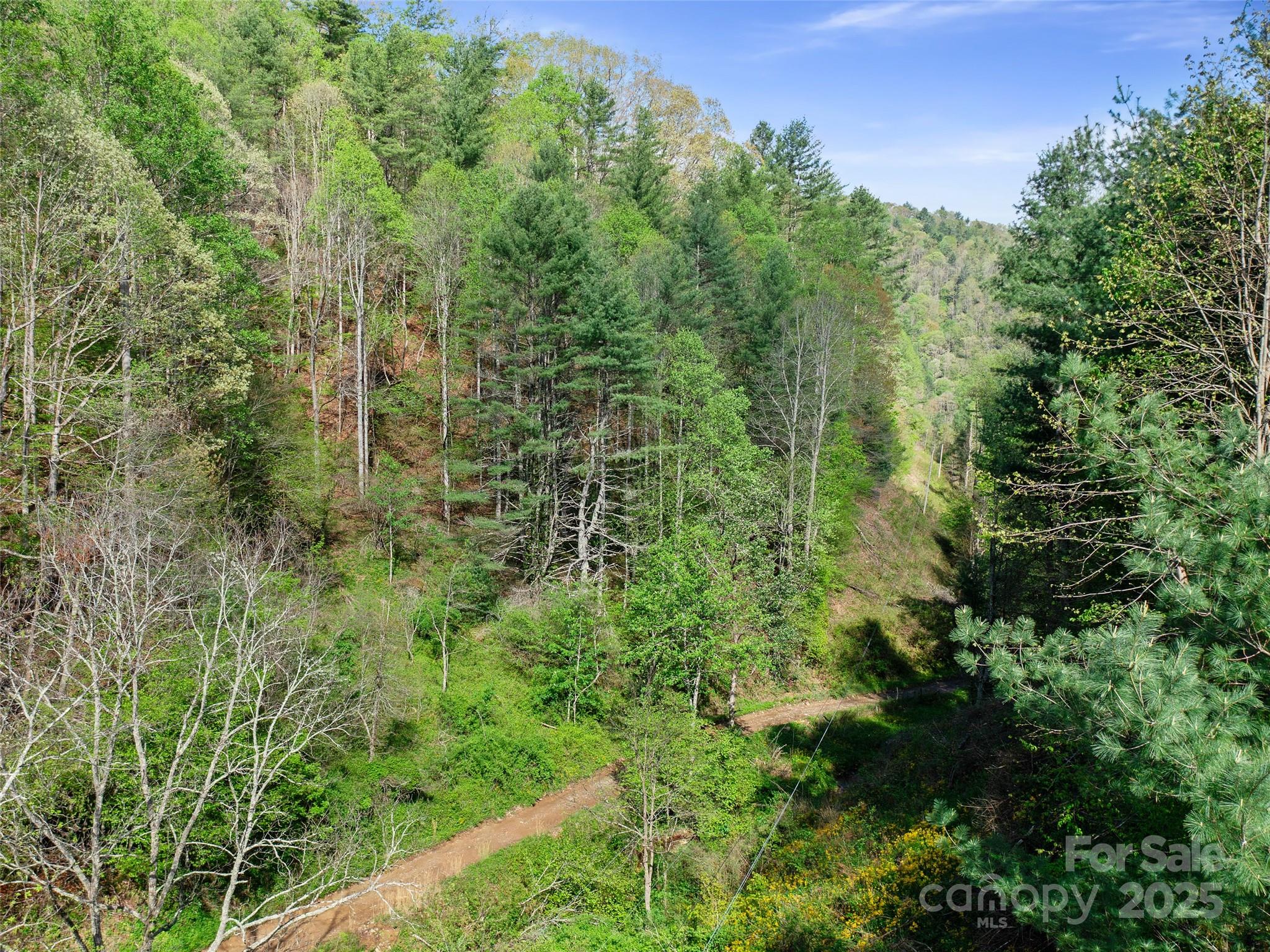 0 Fire Scald Road Green Mountain NC 28740