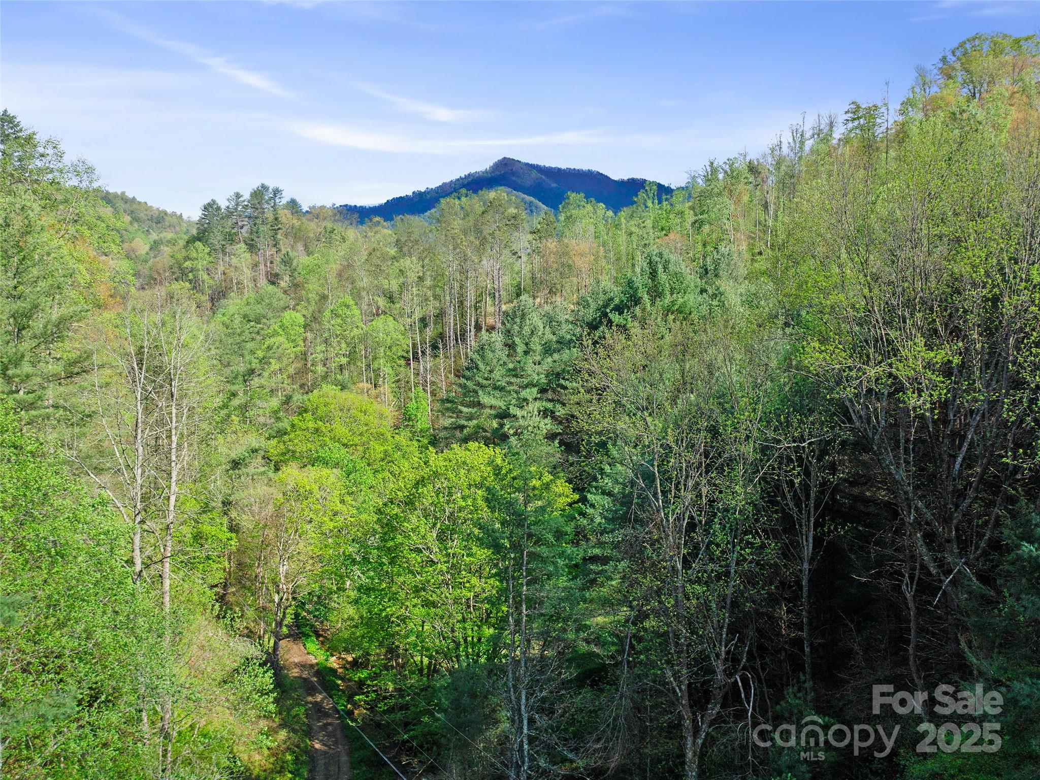 0 Fire Scald Road Green Mountain NC 28740