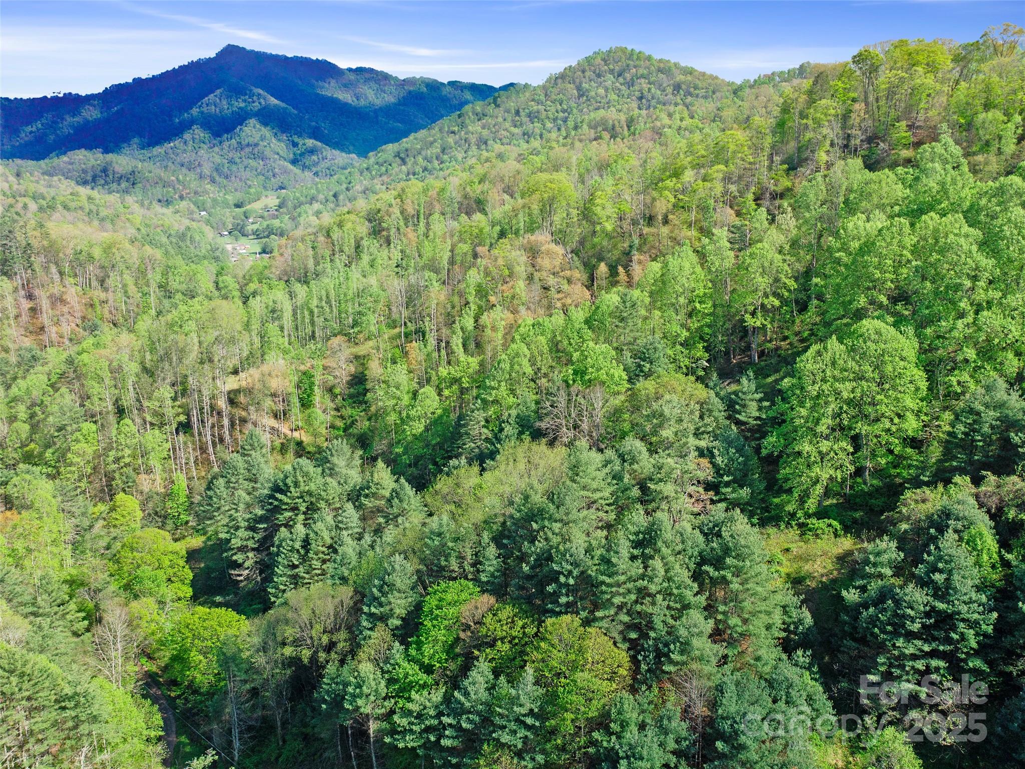 0 Fire Scald Road Green Mountain NC 28740