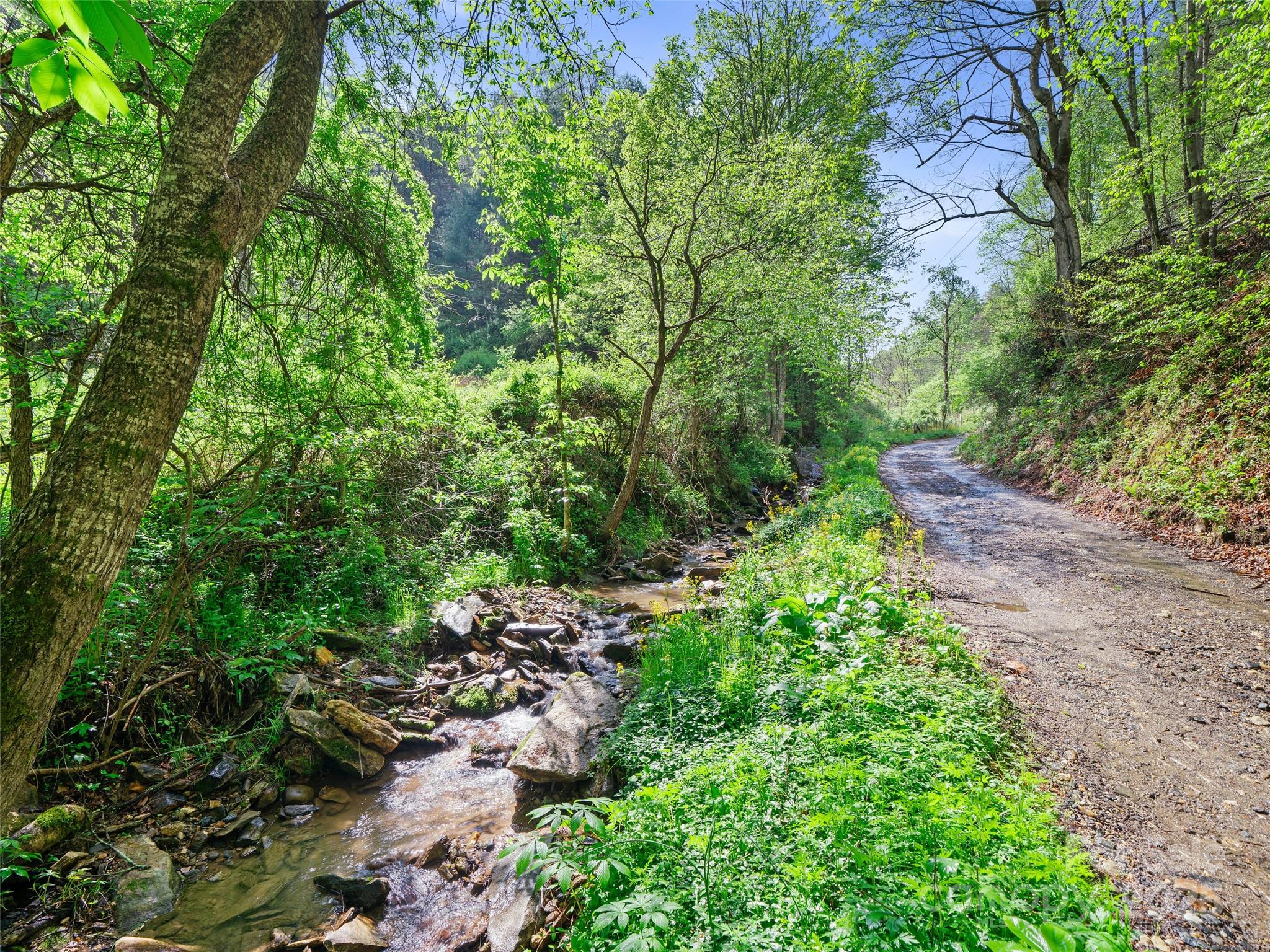 0 Fire Scald Road Green Mountain NC 28740