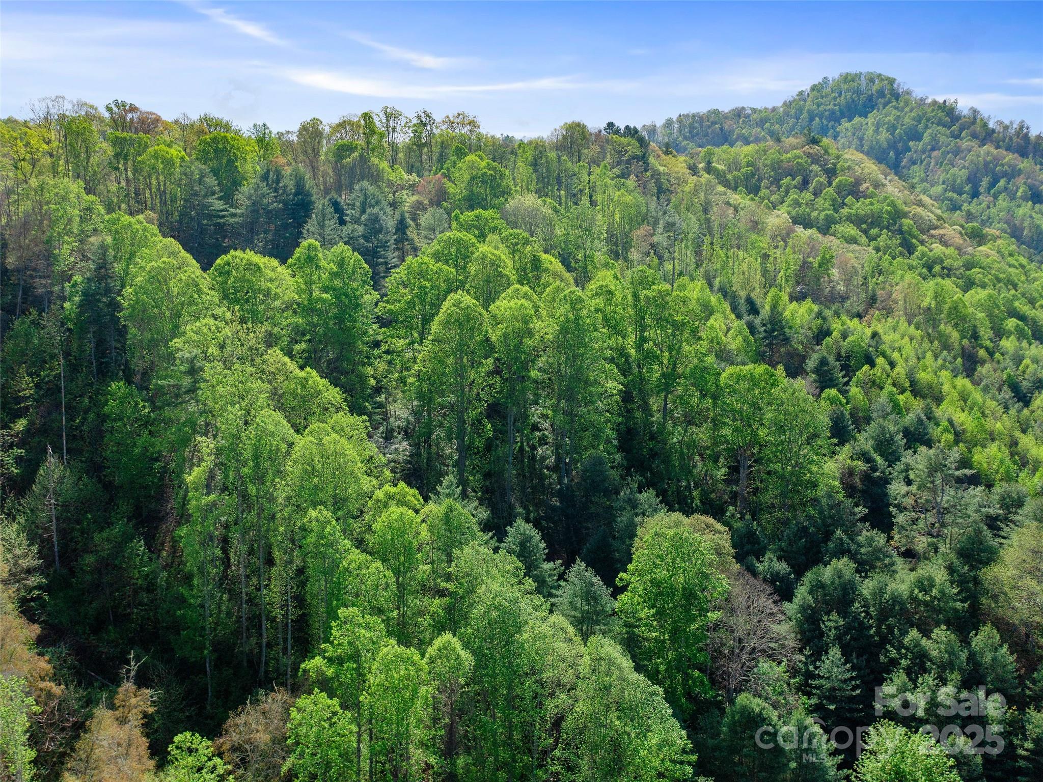 0 Fire Scald Road Green Mountain NC 28740