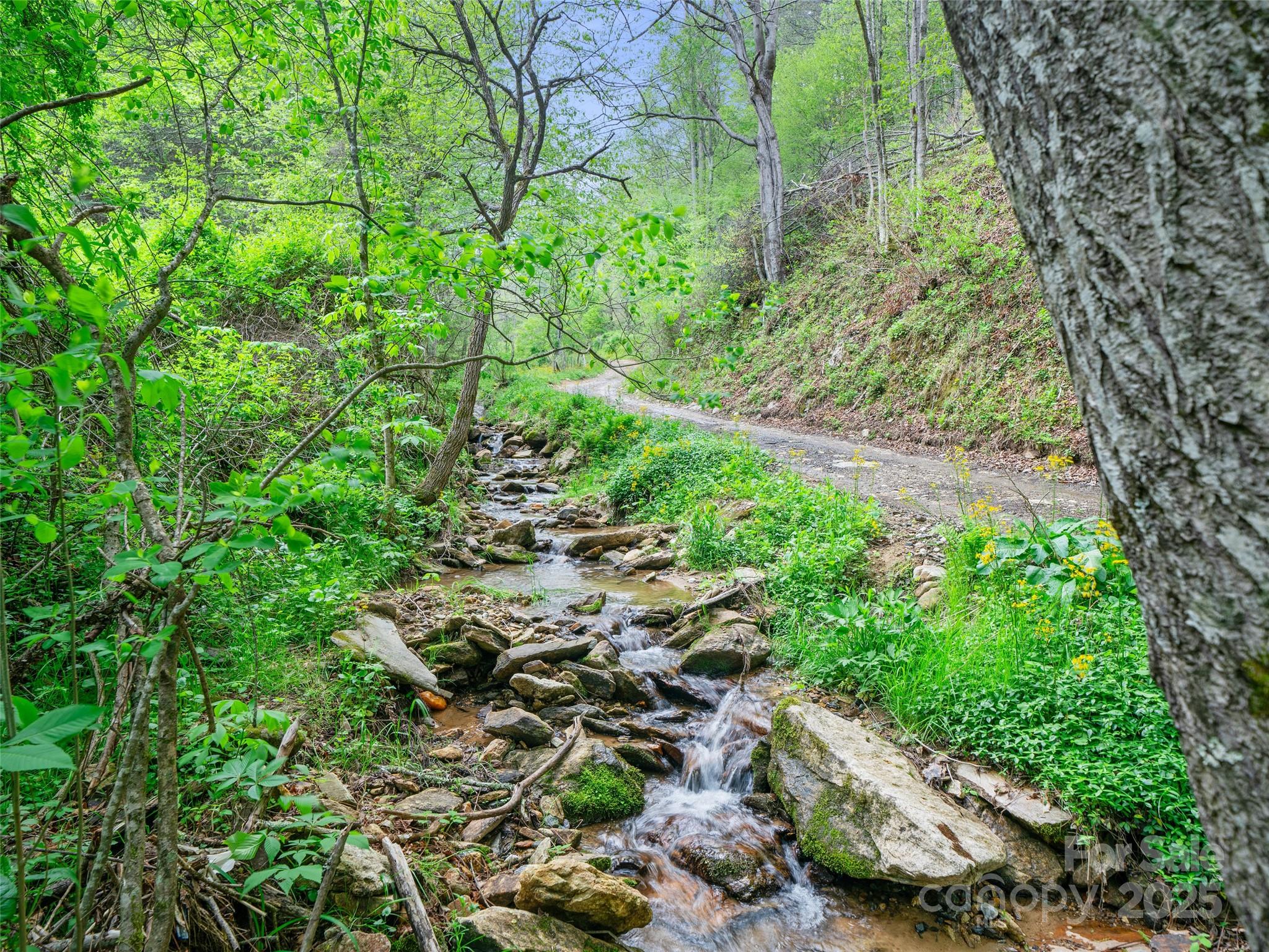 0 Fire Scald Road Green Mountain NC 28740