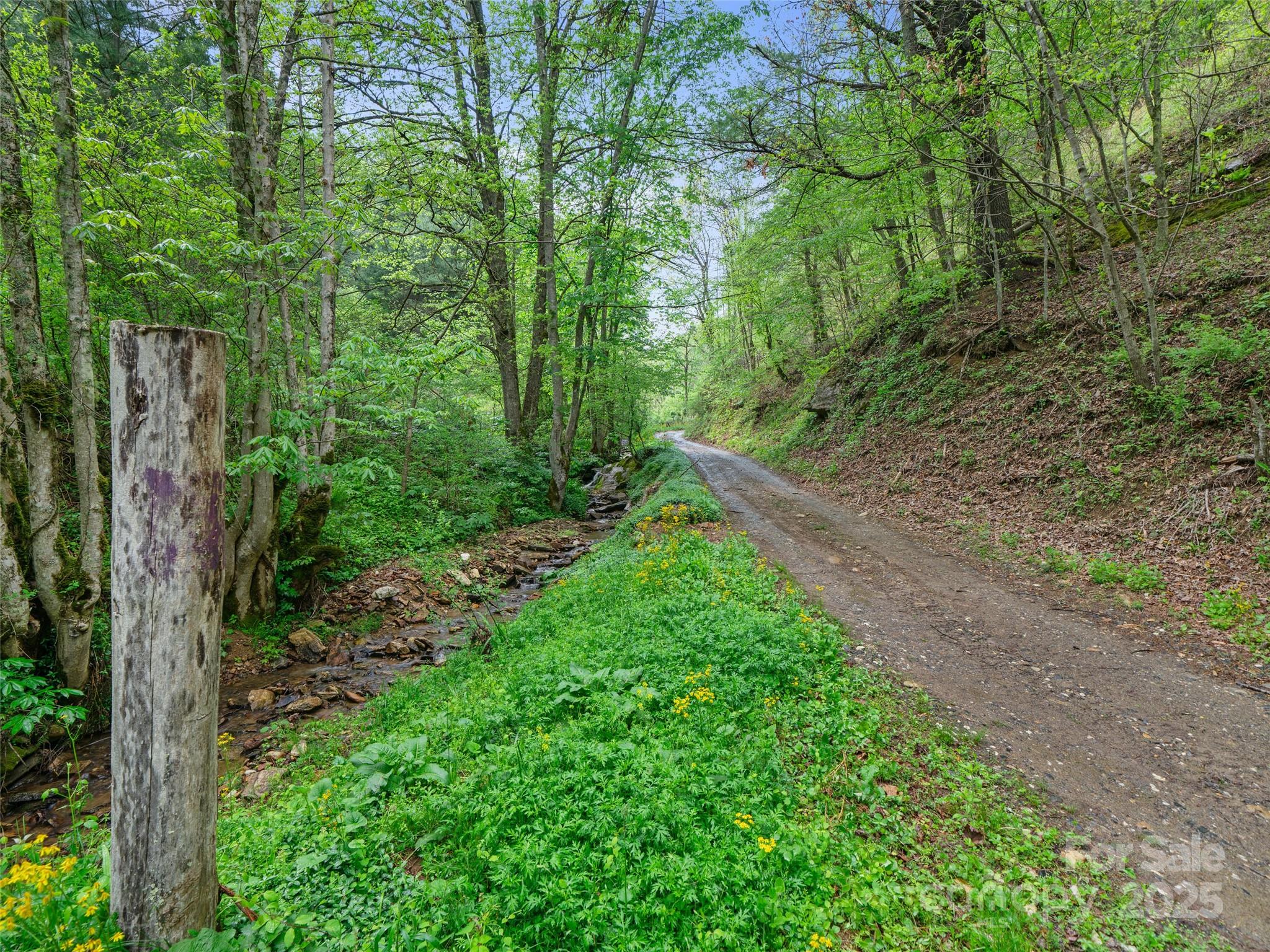 0 Fire Scald Road Green Mountain NC 28740
