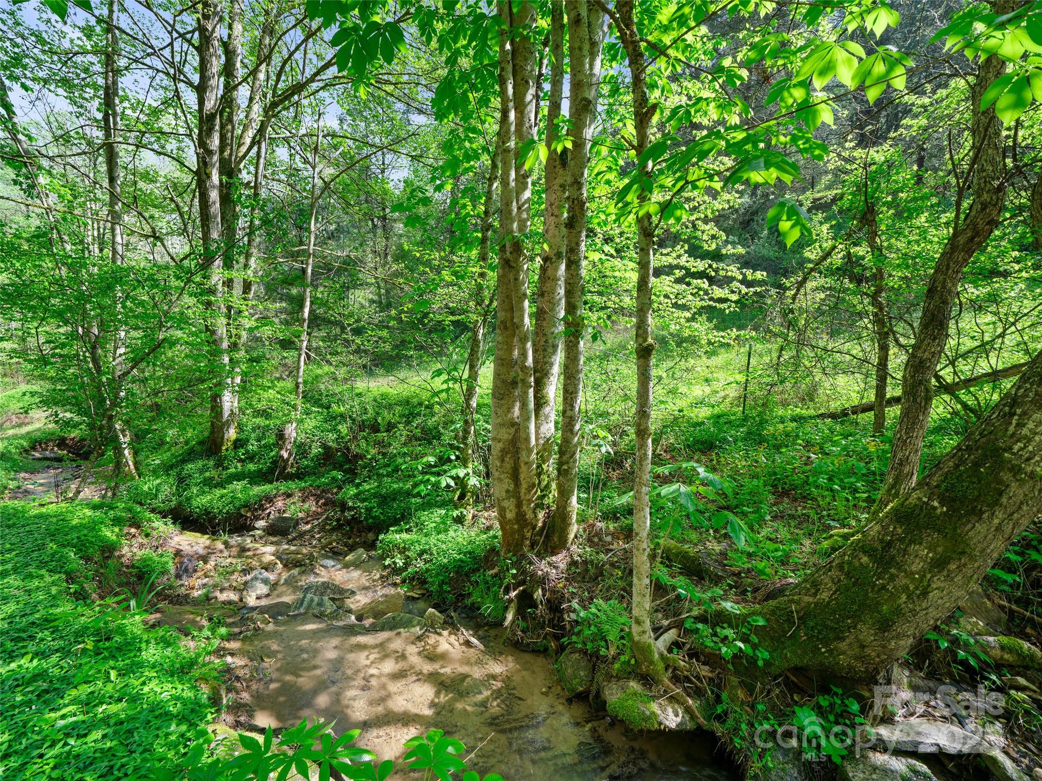 0 Fire Scald Road Green Mountain NC 28740