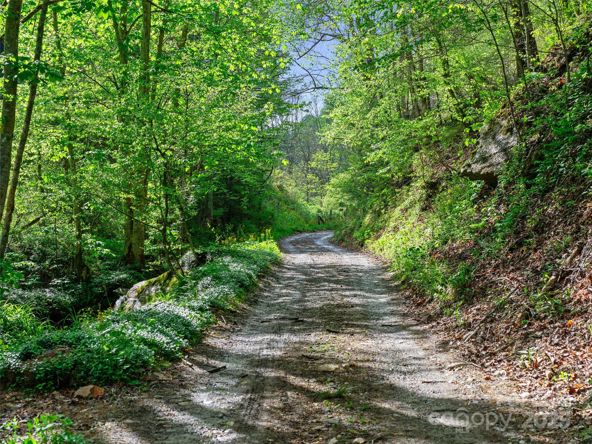 0 Fire Scald Road Green Mountain NC 28740