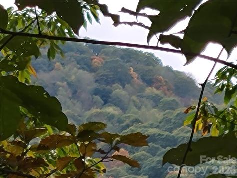 00 Covecrest Lane Maggie Valley NC 28751