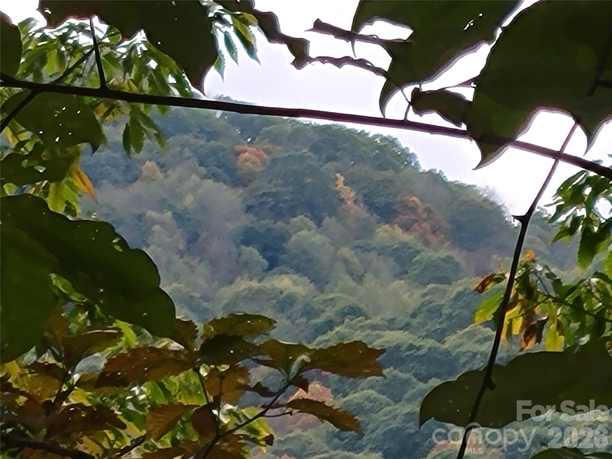 00 Covecrest Lane Maggie Valley NC 28751