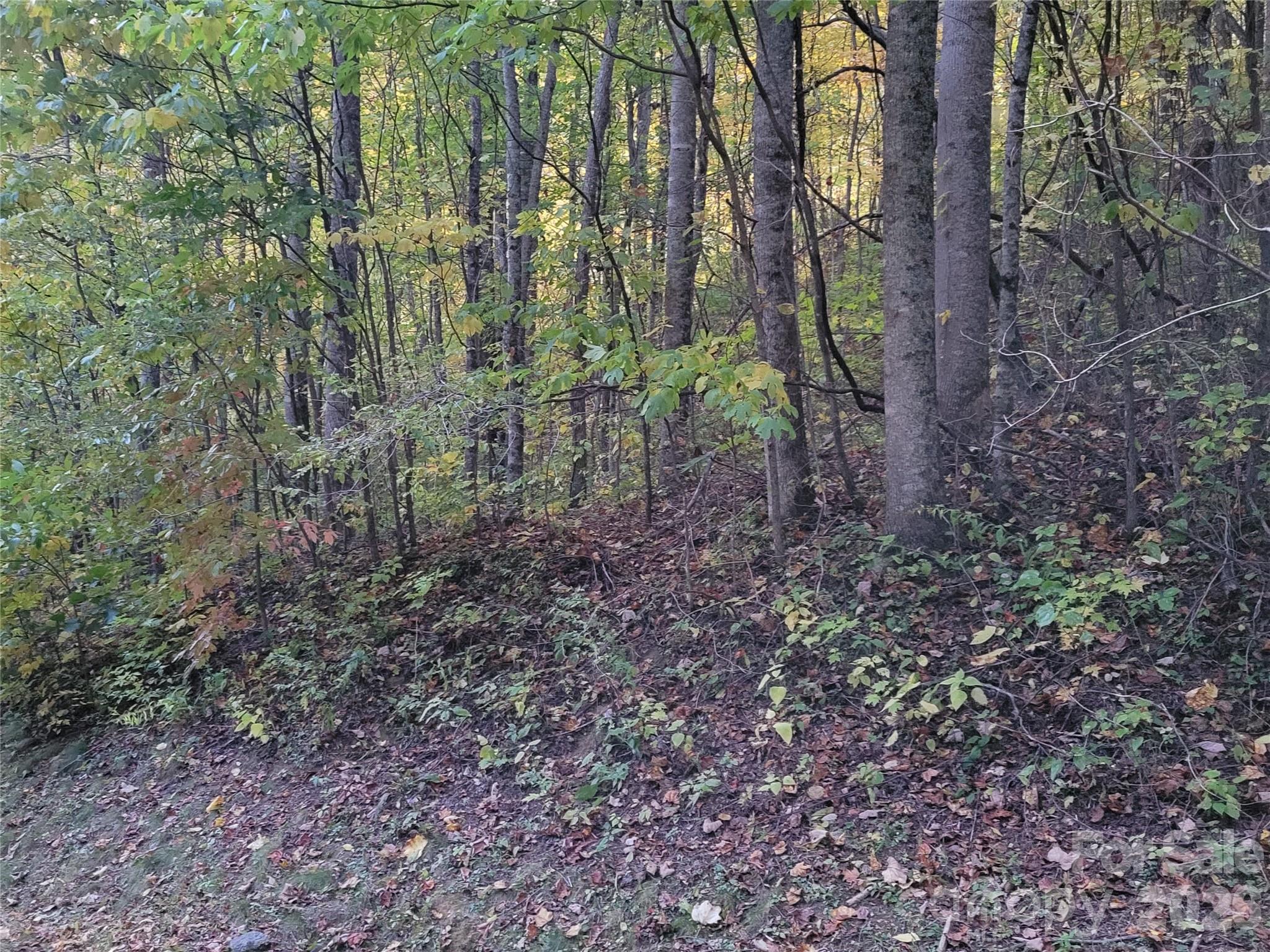 00 Covecrest Lane Maggie Valley NC 28751