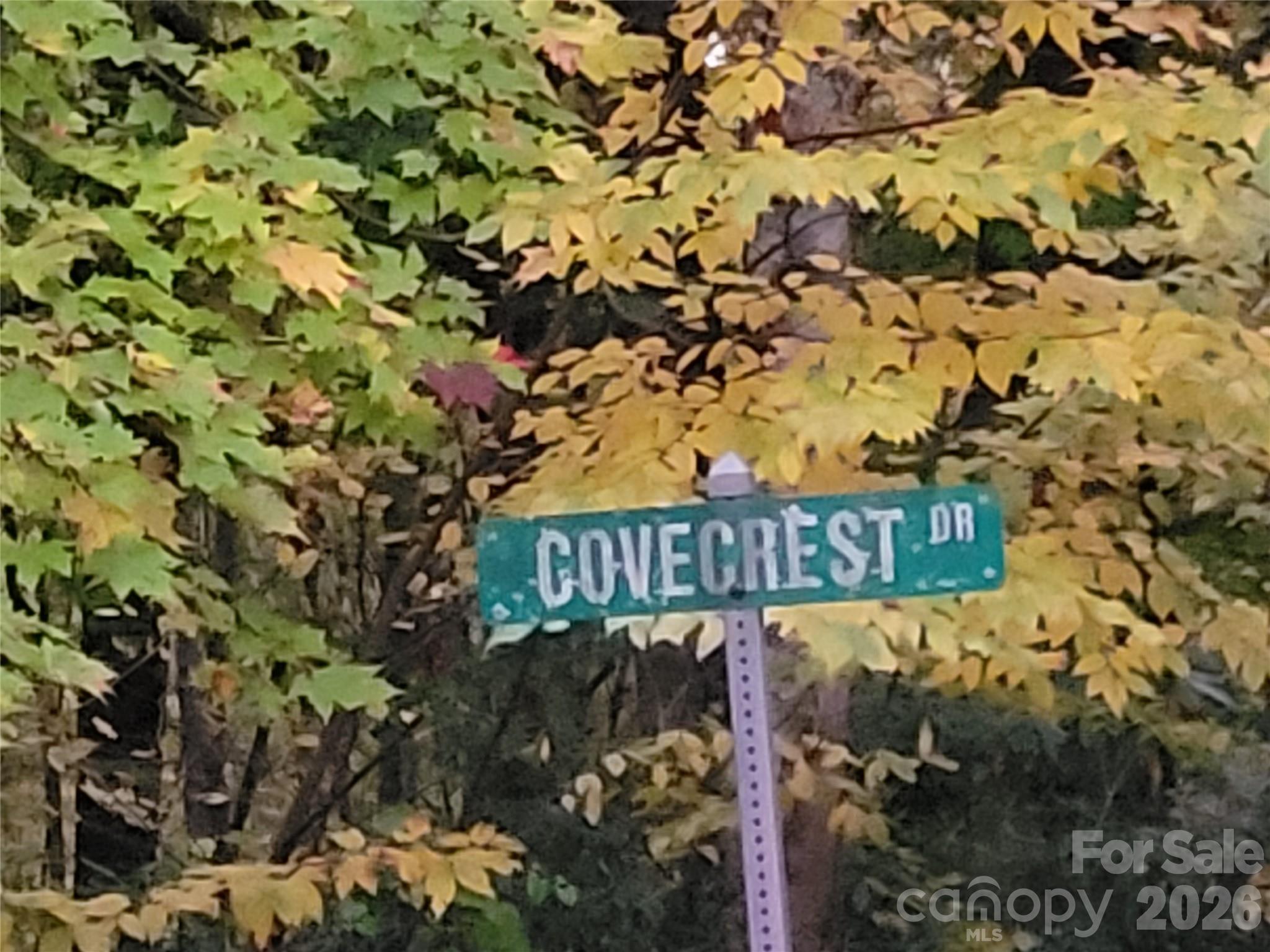 00 Covecrest Lane Maggie Valley NC 28751