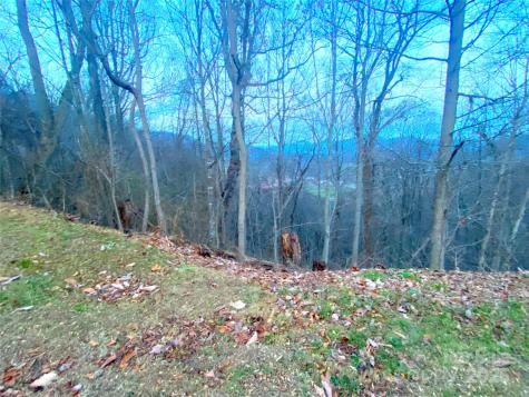 0 Asa Trail Waynesville NC 28785