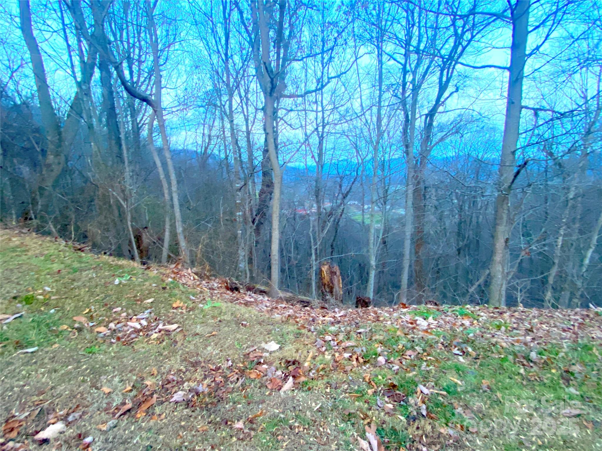0 Asa Trail Waynesville NC 28785