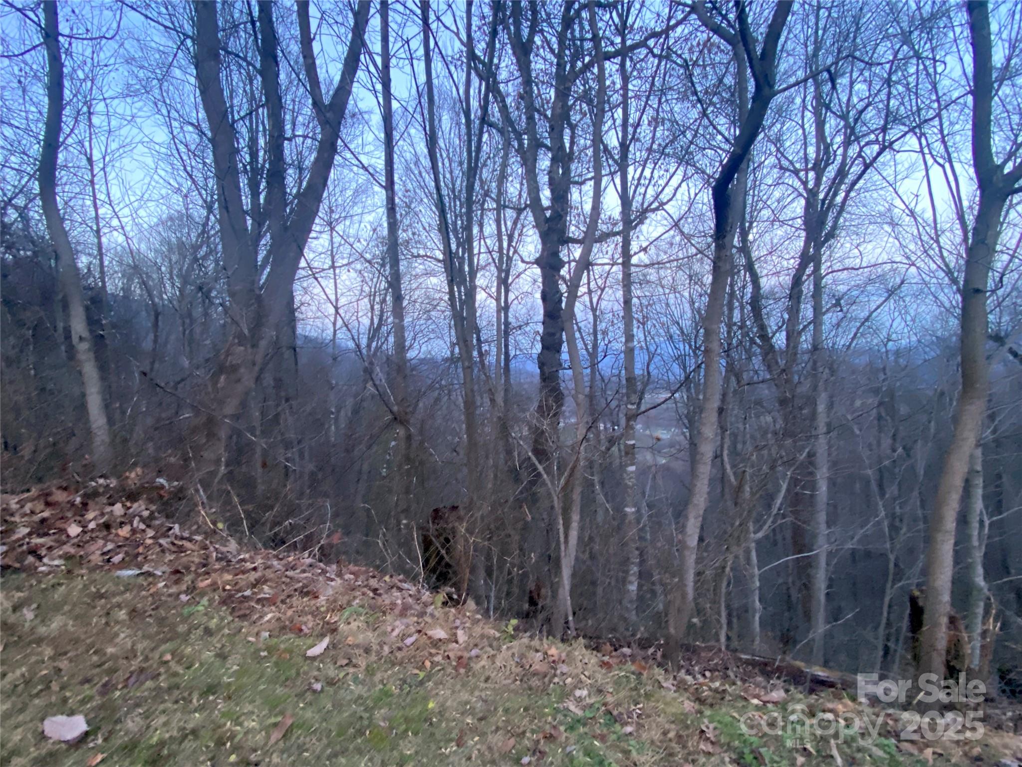 0 Asa Trail Waynesville NC 28785