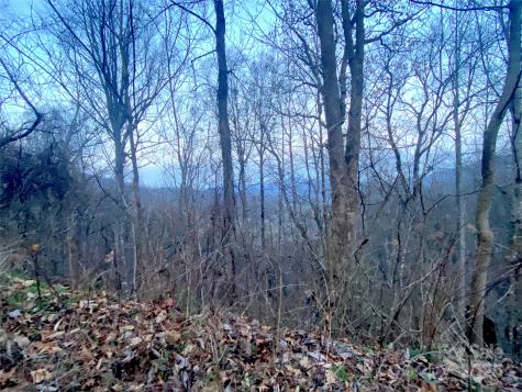 0 Asa Trail Waynesville NC 28785