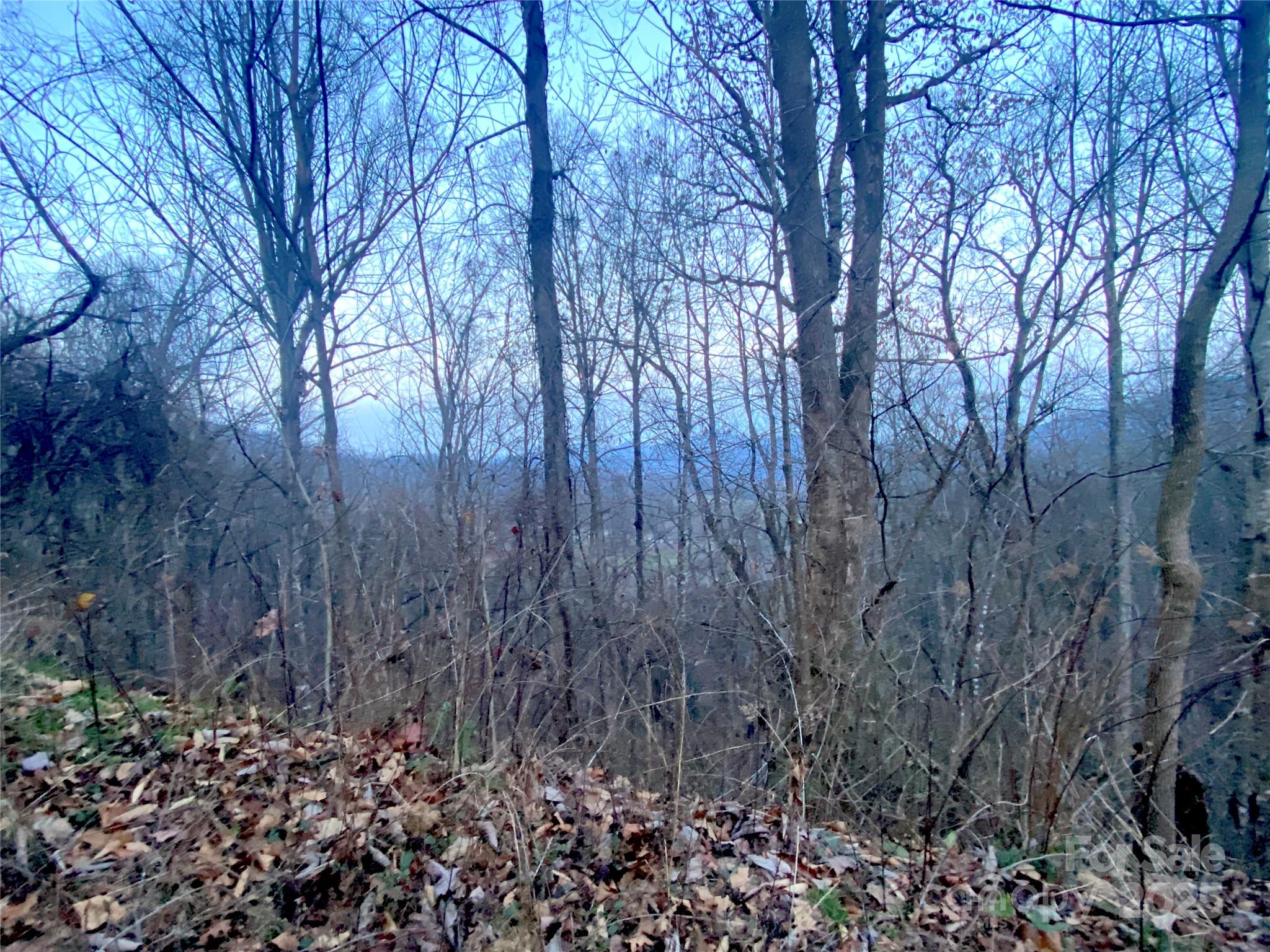 0 Asa Trail Waynesville NC 28785