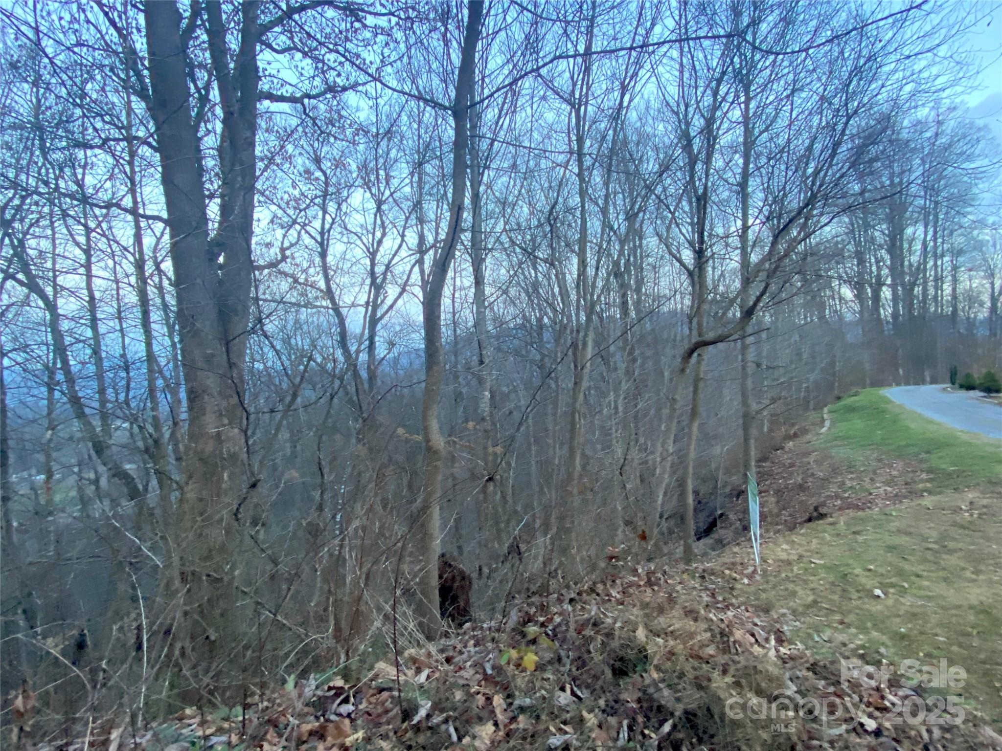 0 Asa Trail Waynesville NC 28785