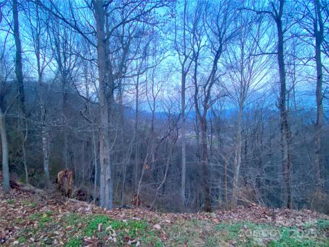 0 Asa Trail Waynesville NC 28785