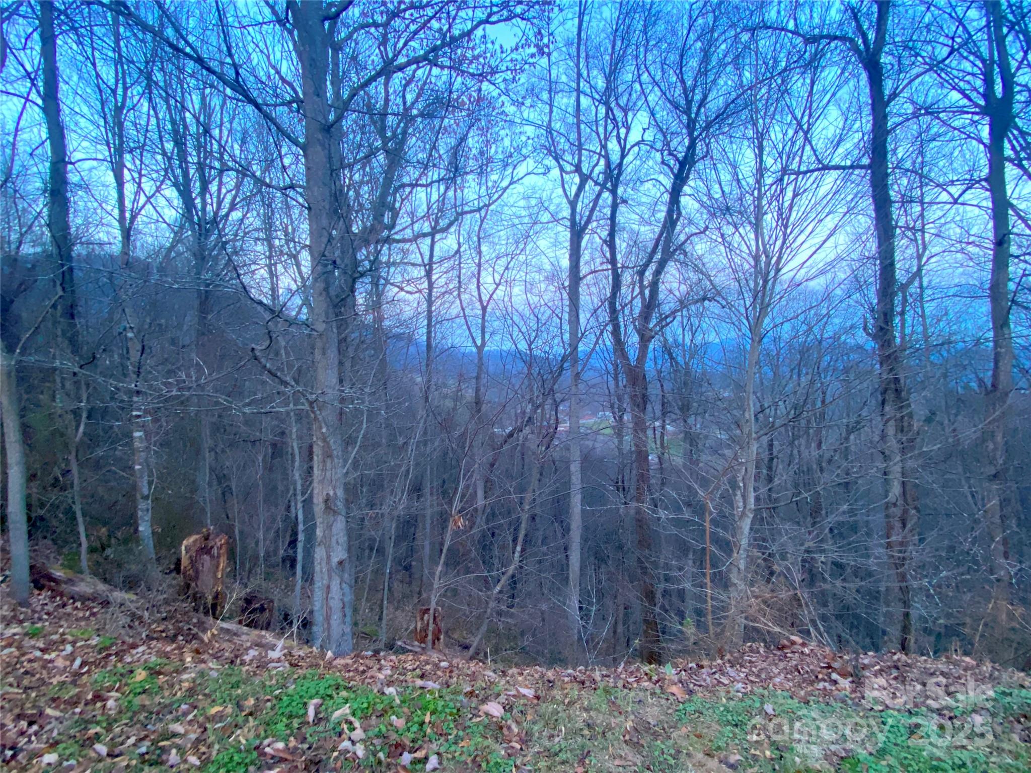 0 Asa Trail Waynesville NC 28785