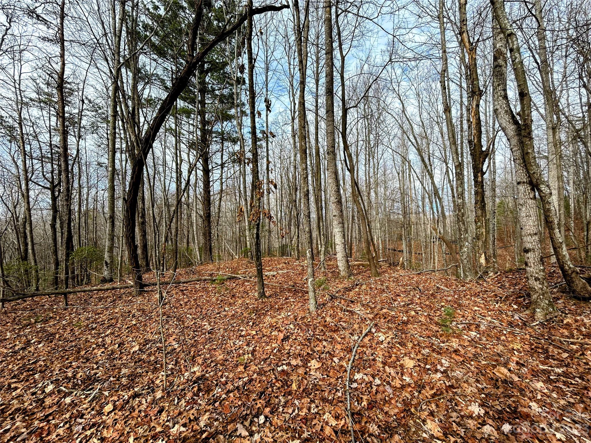 Lot 14 Rhododendron Drive Saluda NC 28773