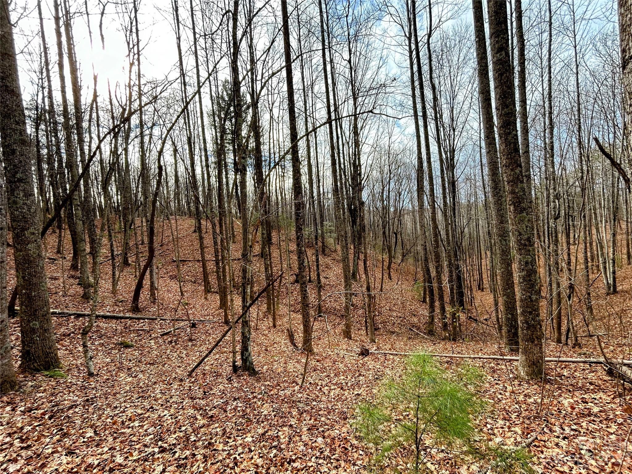 Lot 14 Rhododendron Drive Saluda NC 28773