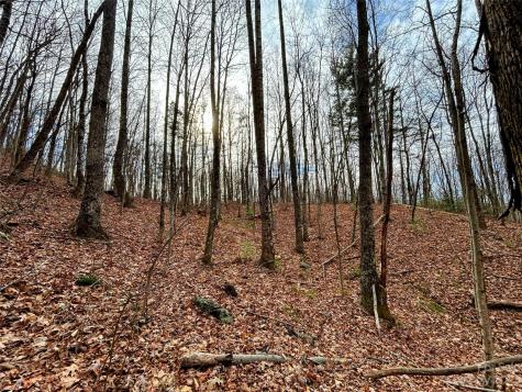 Lot 14 Rhododendron Drive Saluda NC 28773