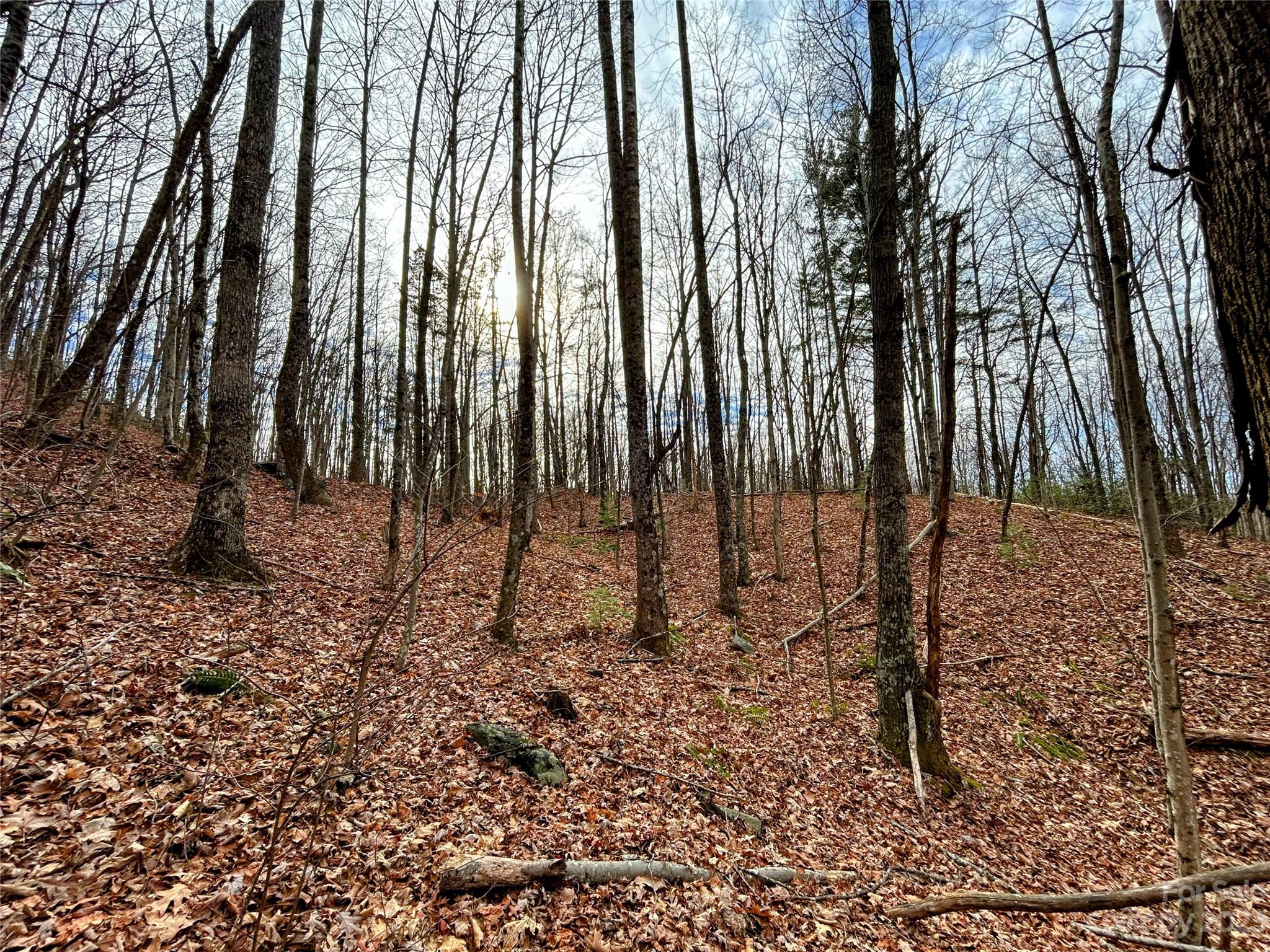 Lot 14 Rhododendron Drive Saluda NC 28773