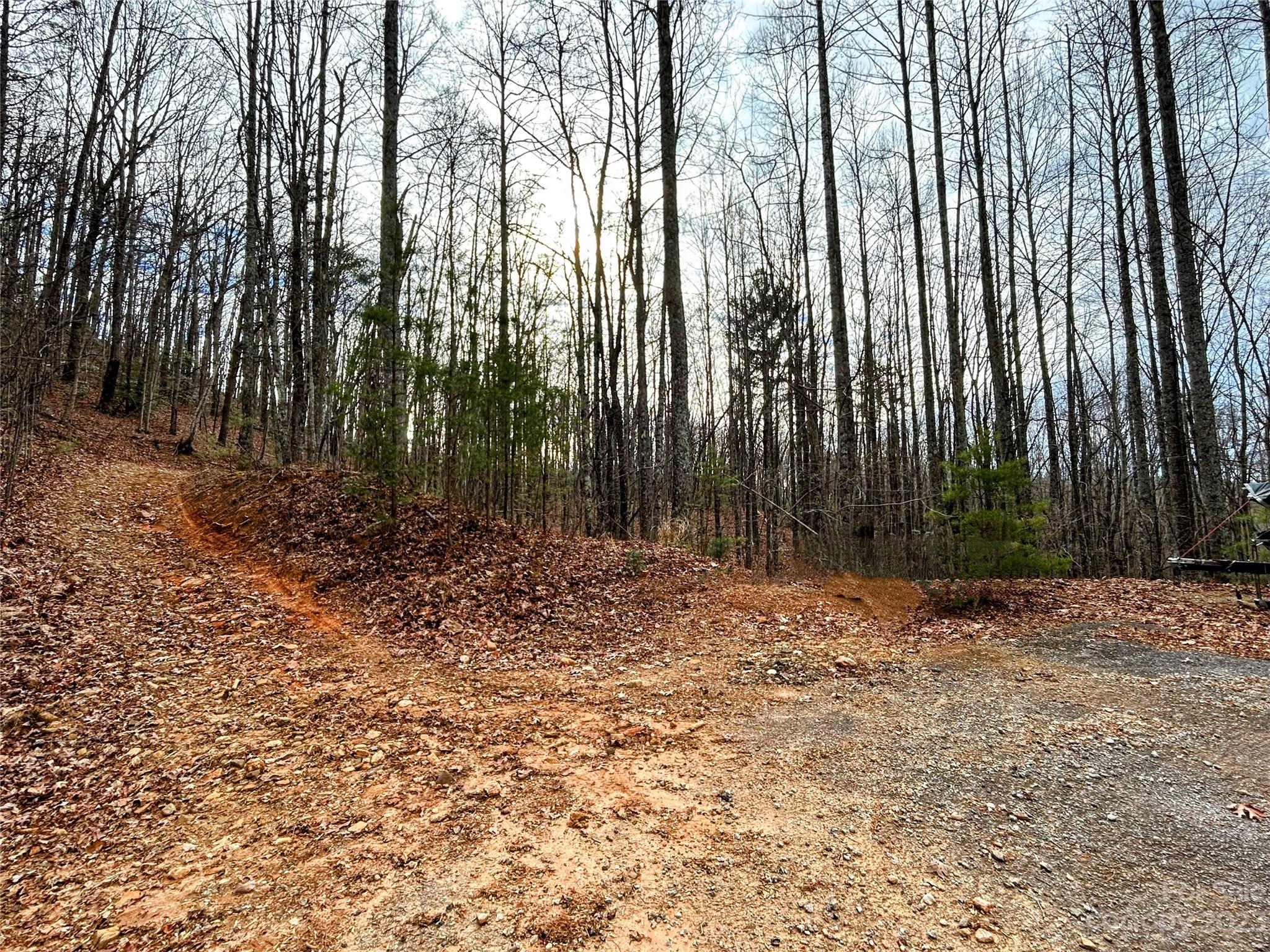 Lot 14 Rhododendron Drive Saluda NC 28773