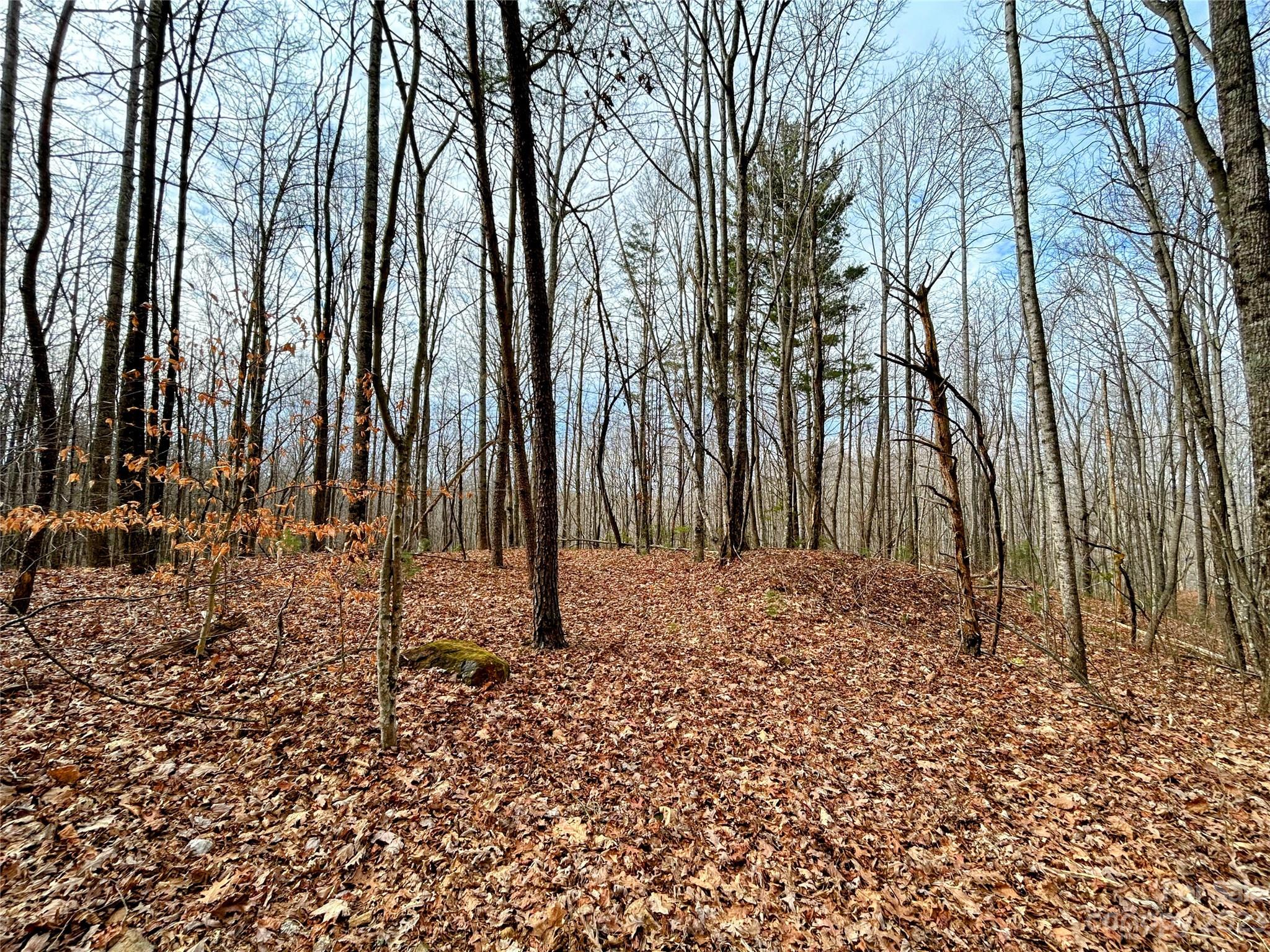 Lot 14 Rhododendron Drive Saluda NC 28773