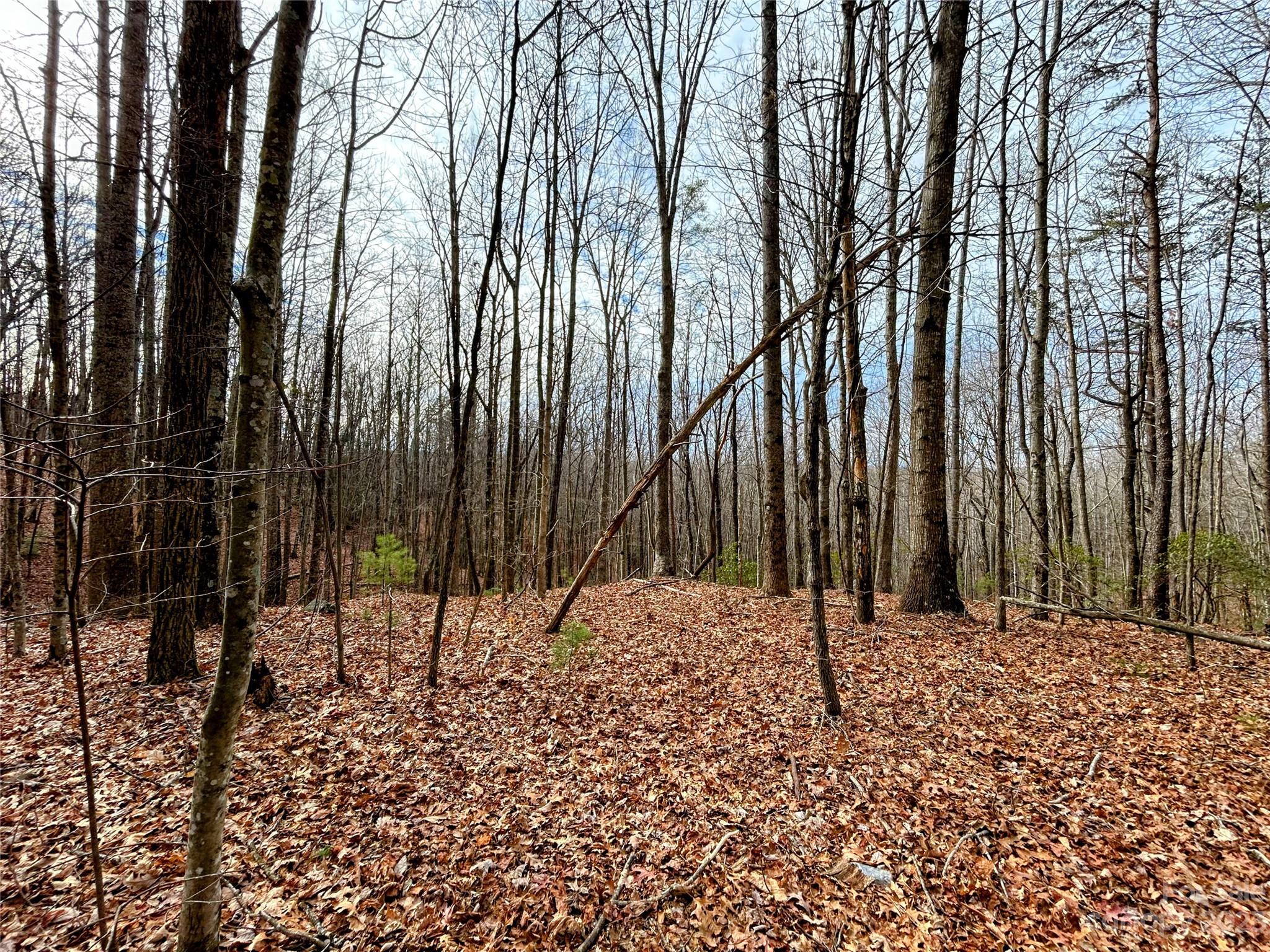 Lot 14 Rhododendron Drive Saluda NC 28773