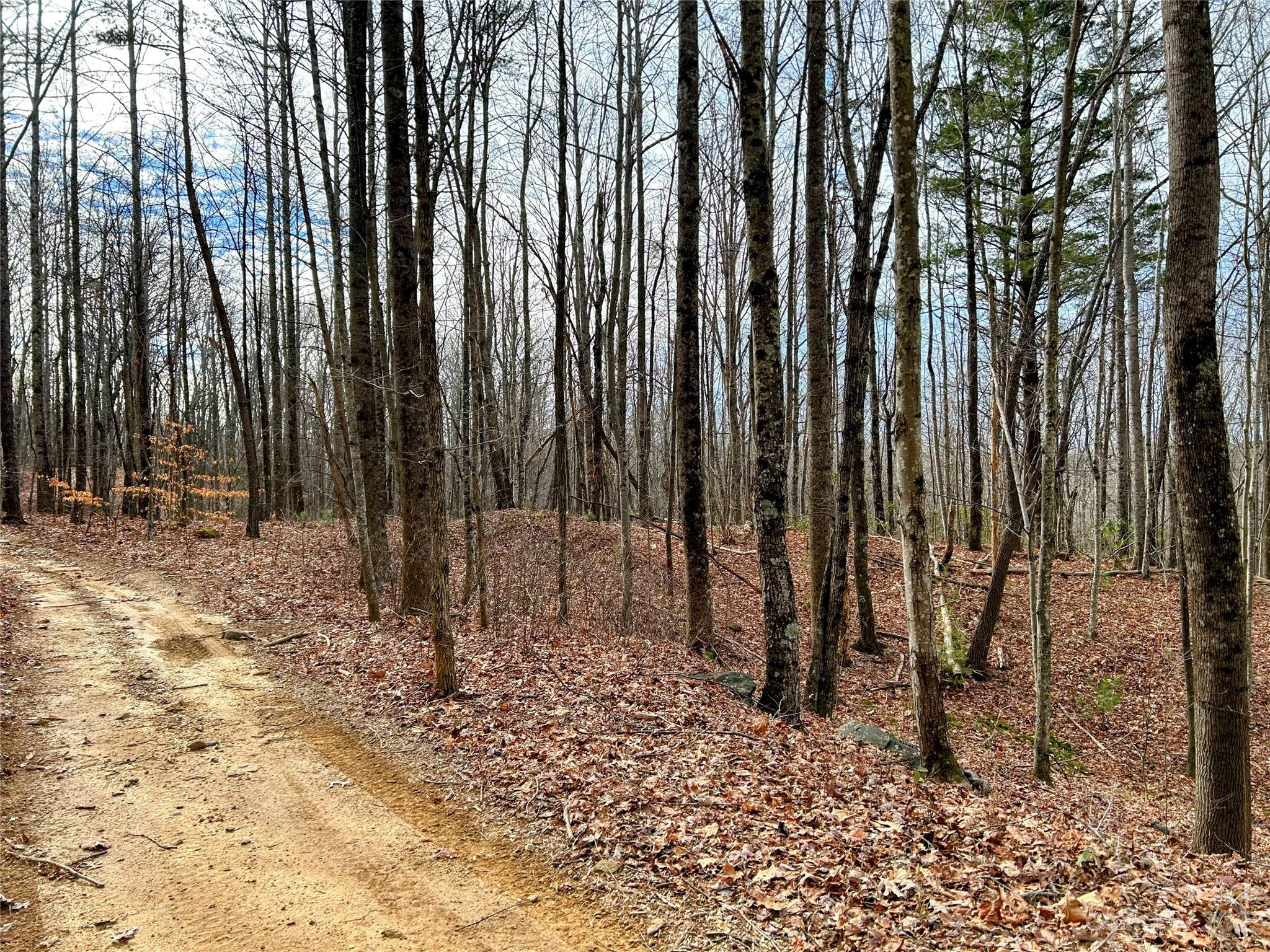 Lot 14 Rhododendron Drive Saluda NC 28773