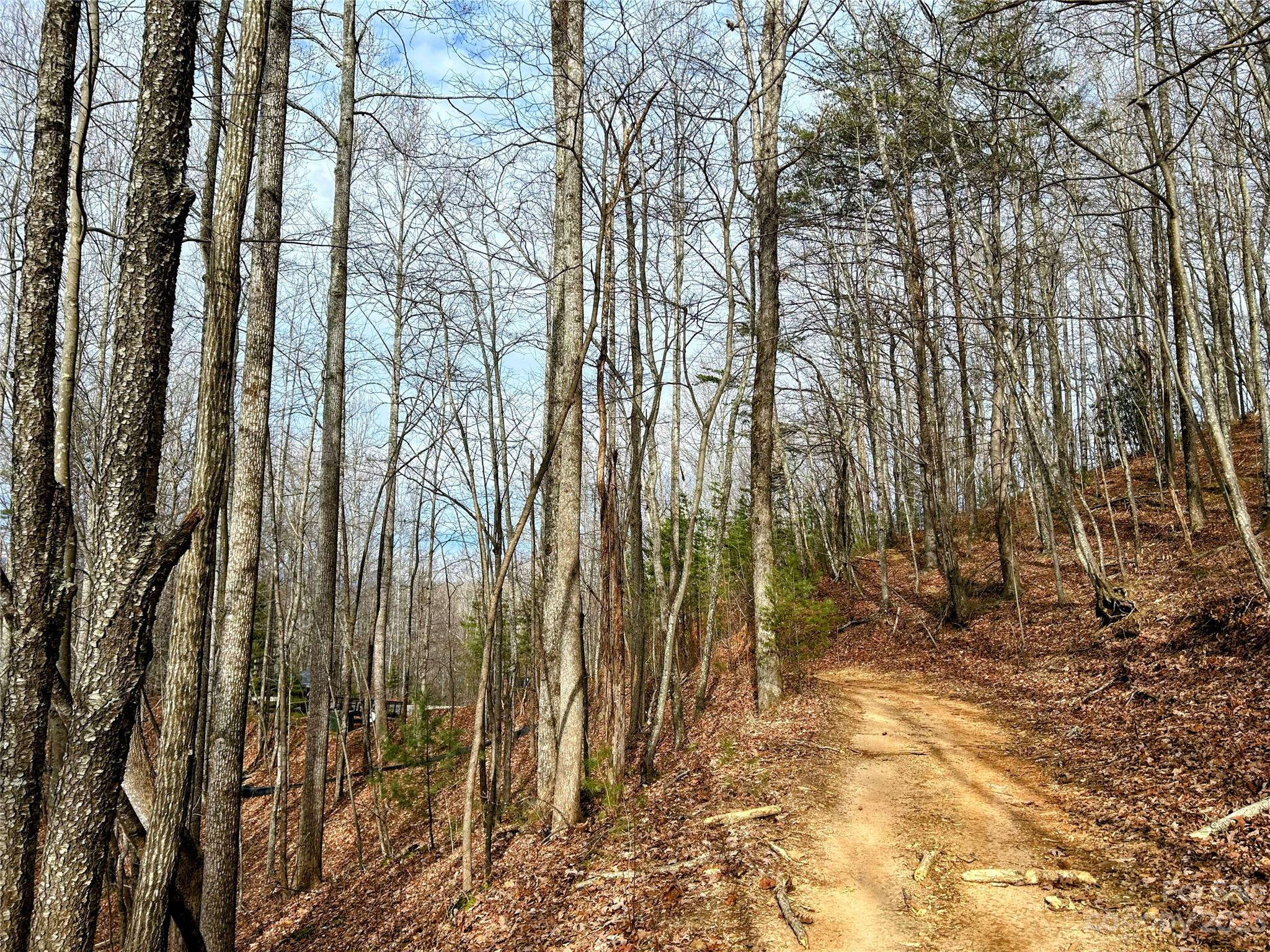 Lot 14 Rhododendron Drive Saluda NC 28773