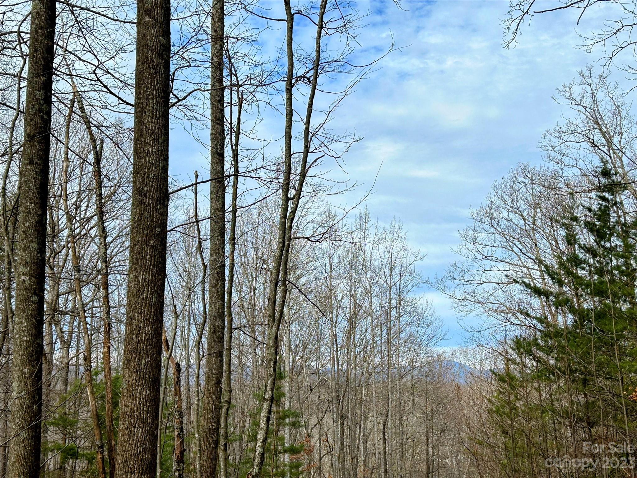 Lot 14 Rhododendron Drive Saluda NC 28773