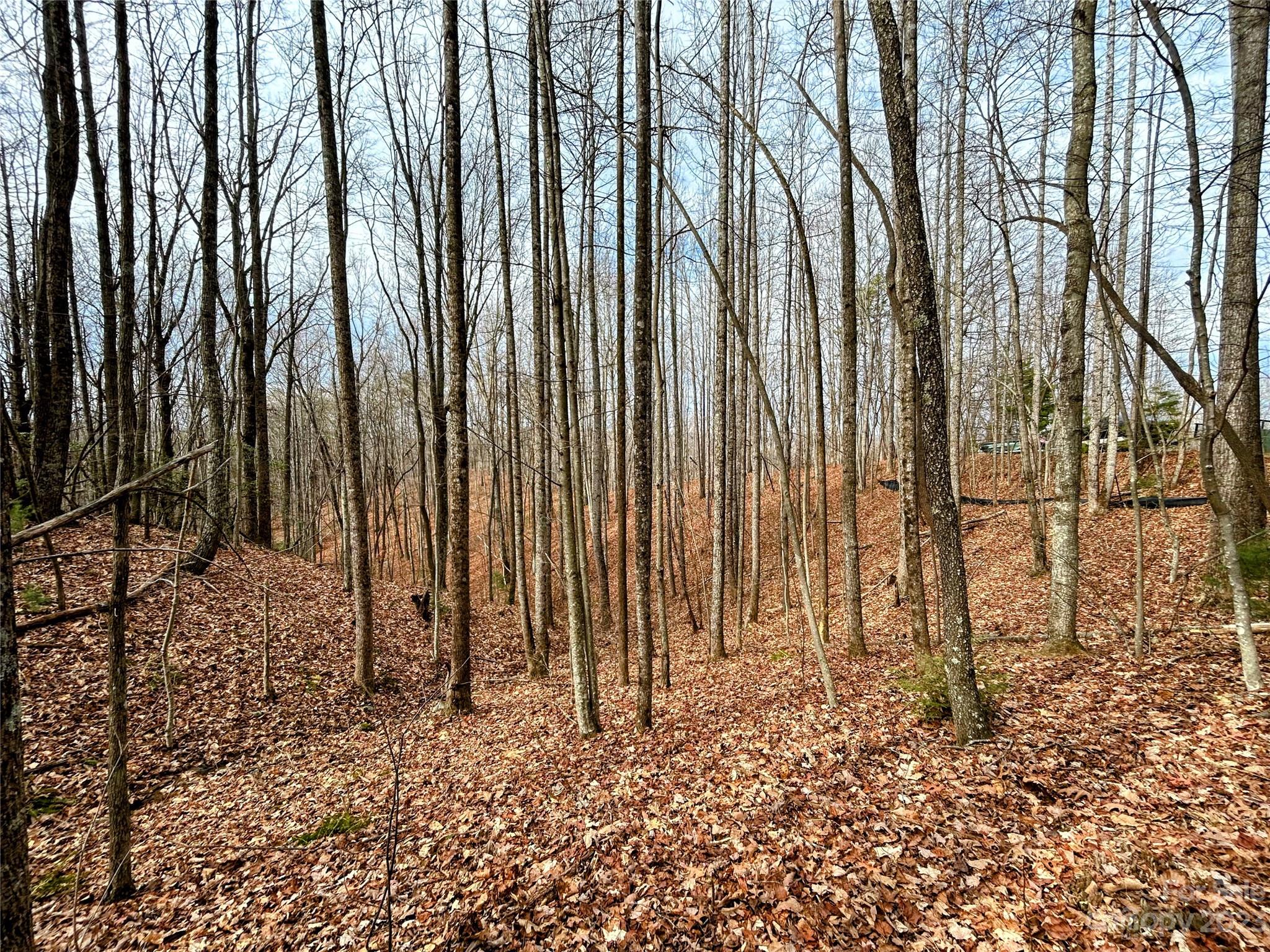 Lot 14 Rhododendron Drive Saluda NC 28773