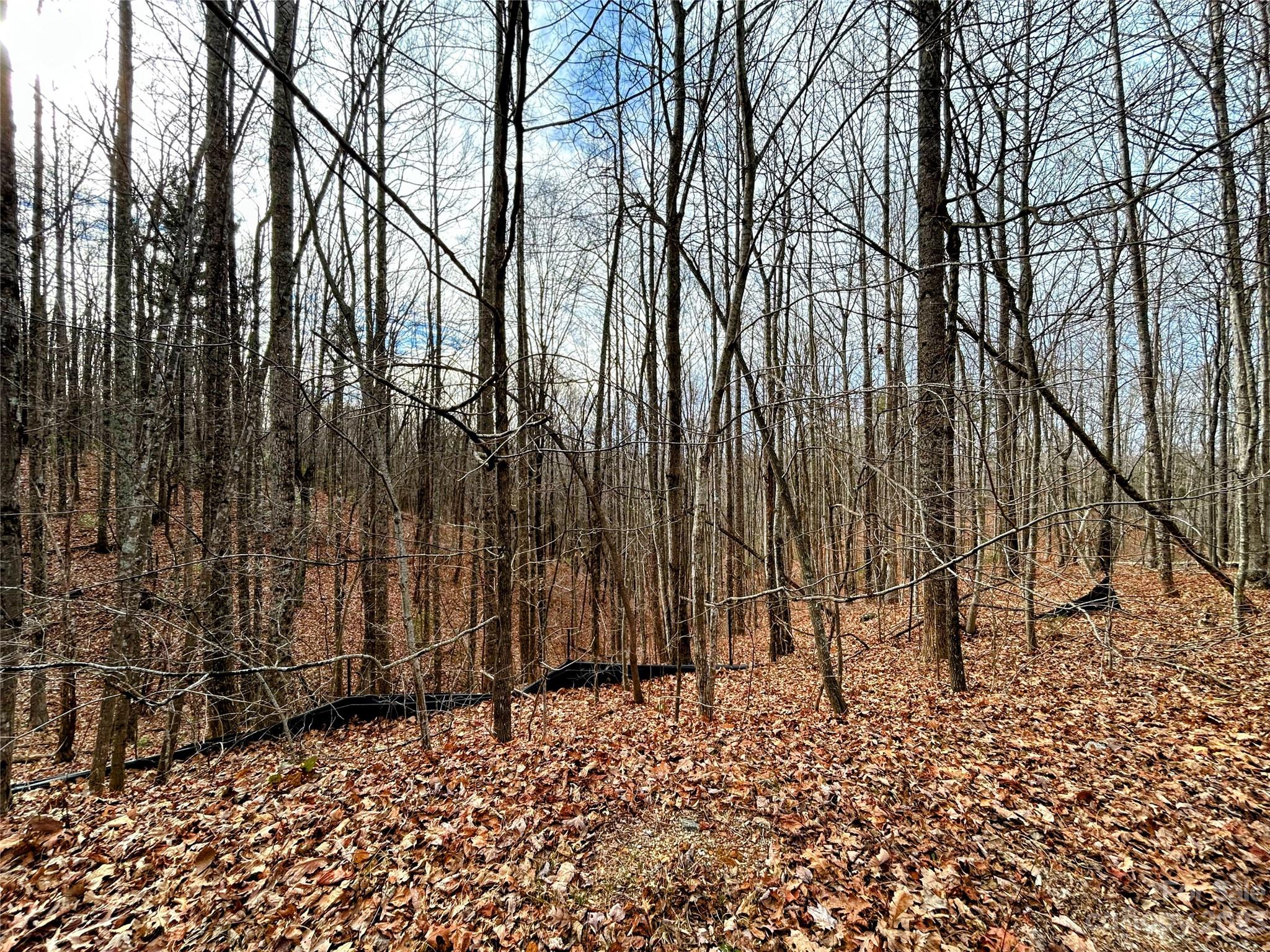 Lot 14 Rhododendron Drive Saluda NC 28773