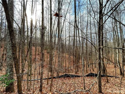 Lot 14 Rhododendron Drive Saluda NC 28773