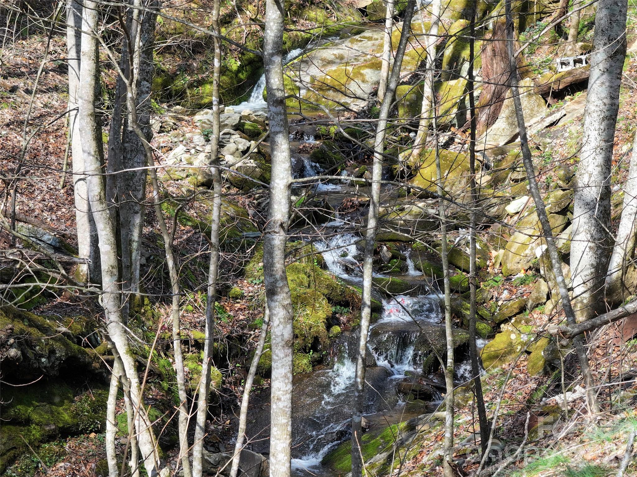 1002 Ned Cove Road Waynesville NC 28785