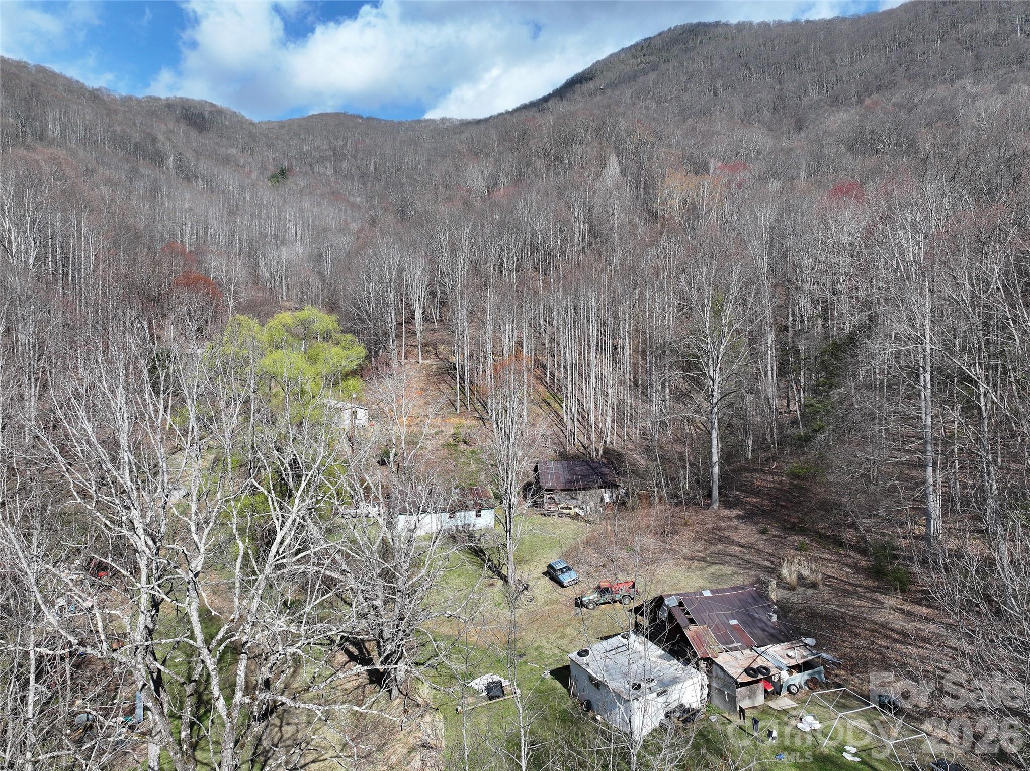 1002 Ned Cove Road Waynesville NC 28785