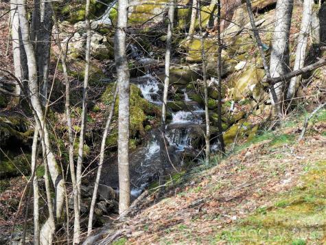 1002 Ned Cove Road Waynesville NC 28785