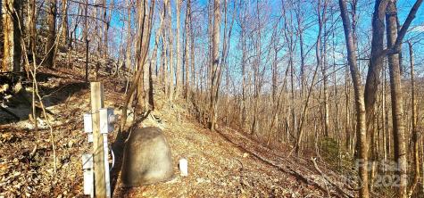 87 Pole Cat Road Saluda NC 28773