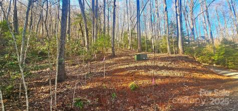 87 Pole Cat Road Saluda NC 28773