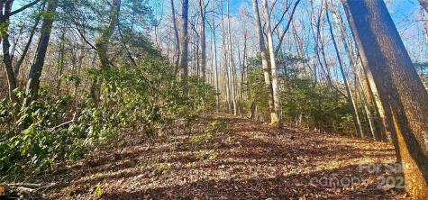 87 Pole Cat Road Saluda NC 28773