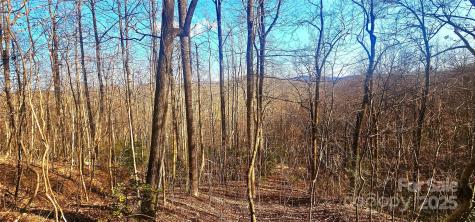 87 Pole Cat Road Saluda NC 28773