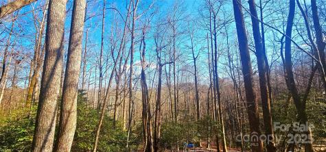 87 Pole Cat Road Saluda NC 28773