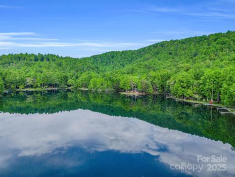 87 Pole Cat Road Saluda NC 28773