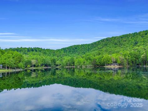 87 Pole Cat Road Saluda NC 28773