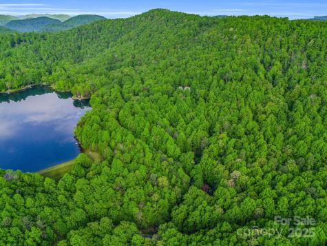 87 Pole Cat Road Saluda NC 28773